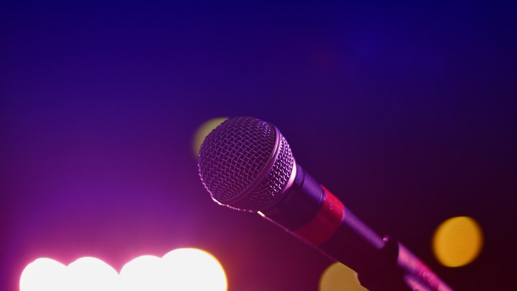 Concert van Other Roads in Hotel Den Helder in Den Helder